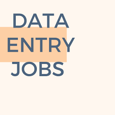 US Form Filling Project – Bulk & Single-System Data Entry 7708244092