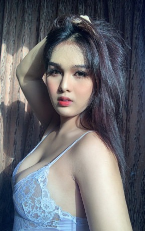 Low Rate￣￣Young Call Girls In Sector 17 Noida ꧁❤ +91-9643727424 ❤꧂Female Escorts Service in Delhi NCR