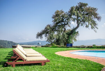 Book a Kenya Safari – Big Five Tours from Nairobi | 2 to 10 Days