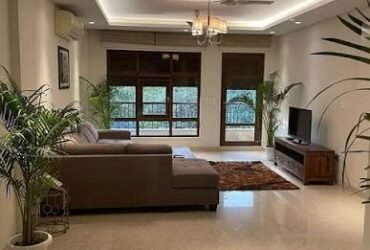 Ruby Property Sale & Rent IN South Delhi-17